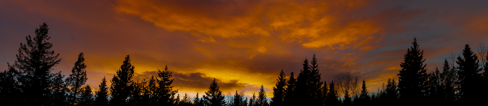 Contact Us - About - Quesnel Community Foundation