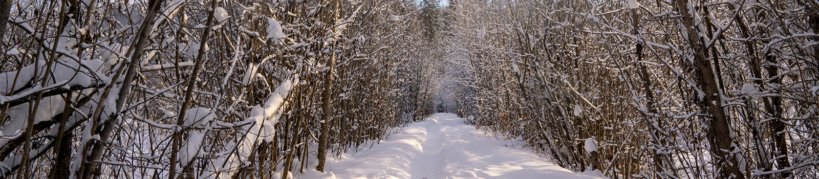 Quesnel Community Foundation -  Login